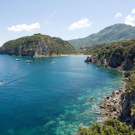 Pet Friendly Home In Ischia With Wifi Eksteriør billede
