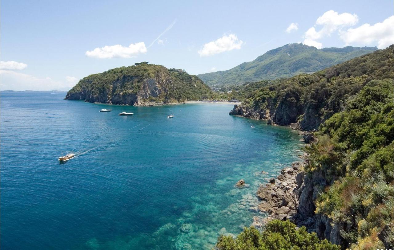 Pet Friendly Home In Ischia With Wifi Eksteriør billede